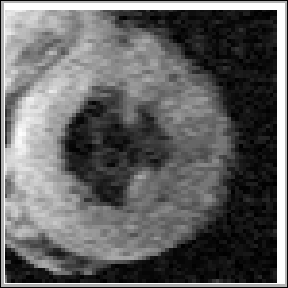 \fbox{\resizebox{7cm}{7cm}{\includegraphics{images/gray_heart.eps}}}