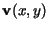 ${\bf v}(x,y)$