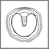 \fbox{\resizebox{4cm}{4cm}{\includegraphics{images/concave1.eps}}}