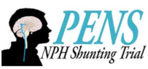 Logo PENS s.webp